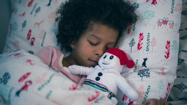 La peluche de Bonhomme